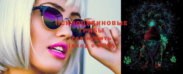 спайс Ладушкин